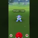 Catching Popplio in Pokemon Go 😍🥳 #shorts #pokemongo #pokemon