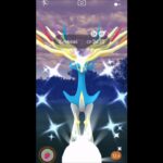 First Ever Shiny Xerneas✨ After Raid Battle! – Pokemon Go