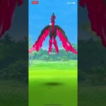 ポケモンGO 久々に見たけど逃げられた