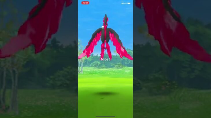 ポケモンGO 久々に見たけど逃げられた