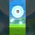 ポケモンGO ゾロア初実装