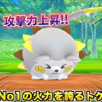 攻撃力上昇してから放つ！理論上最強火力の『トゲデマル』は強いのか!?【ポケモンGO】