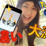 ヒトモシコミュデイ色違い大漁に獲ったどー!!【ポケモンGO】