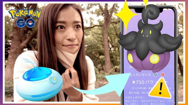 色違いバケッチャ、想定外の事実判明！？ハロウィンイベントパート２初日レポート！！【ポケモンGO】