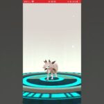 (ポケモンGO)イワンコようやく進化！(夜も出すよ！)