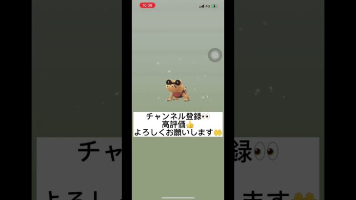 【ポケモンGO】12km卵3連🥚✨#ポケモンgo #shorts ＃米津玄師