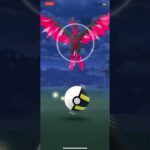 【ポケモンGO】おさんぽおこうを使ってみたらガラルファイヤーが出たのでゲットチャレンジしてみた3