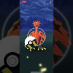 【ポケモンGO】おさんぽおこうを使ってみたらガラルサンダーが出たのでゲットチャレンジしてみた4