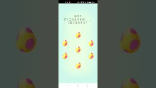 ポケモンGO狙うぜ!!色違いオンバット☆7km☆タマゴ７連ガチャ《2022年10月22日》孵化分#shorts