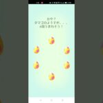 ポケモンGO狙うぜ！色違いオンバット☆7km☆タマゴ６連ガチャもっとあかんヤツ《2022年10月28日》#shorts