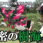 【ポケモンGO】これがポケモンGOだ！超ド級「金沢城公園」を攻略せよ！色違いお帽子ディグダ＆ガラル三鳥捕獲緊に向けて緊急ミッション発動スペシャル！【69回目の挑戦】