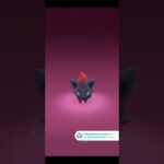 How to get Zorua in Pokemon Go