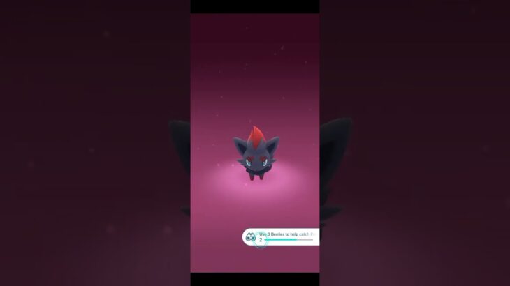 How to get Zorua in Pokemon Go