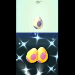 OH! ✨Shiny Egg Hatch Part 4 – Pokemon Go #shorts #pokemongo