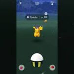 PIKACHU DISFRAZ SHINY, HALLOWEEN POKEMON GO 2022