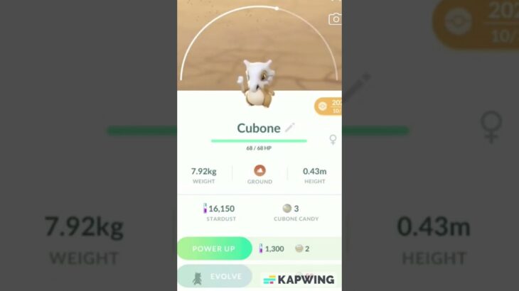 POKEMON GO #104 CUBONE (GOKU666) #shorts