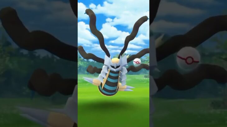 POKEMON GO GIRATINA          ORIGINAL      VAI LACRAIA VAI LACRAIA GO LACRAIA GO LACRAIA🐛🕷️🐙🦑🦐🦎🐉🎃🎃🎃🎃