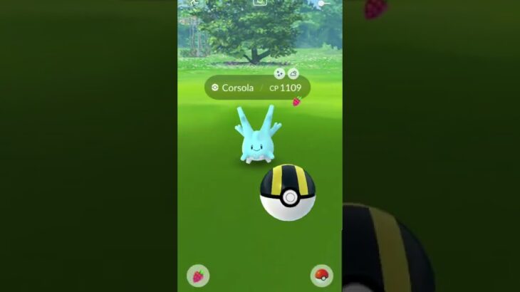 Pokemon Go Catching A Shiny Corsola!