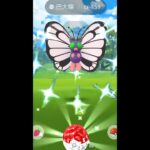 抓到色違巴大蝶！Shiny Butterfree バタフリー｜Pokemon GO