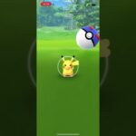 ポケモンgo 野生のピカチュウ♀ゲットチャレンジ