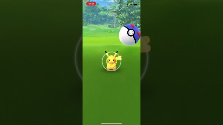 ポケモンgo 野生のピカチュウ♀ゲットチャレンジ