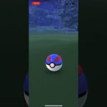 バグかと思ったら　♯ポケモンgo ♯ゾロア