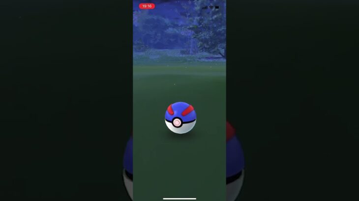 バグかと思ったら　♯ポケモンgo ♯ゾロア