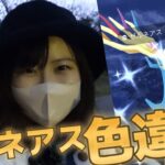 雨降り【色違い】【高個体値】ゼルネアスレイド🔥in愛知県:ポケモンGO