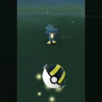 pokemon go caught murkrow in wild #shorts #pokemongo #pokemon #gameplay #game #gaming #murkrow