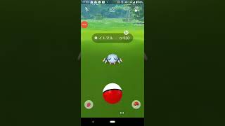 色違いイトマル　ポケモンＧＯ