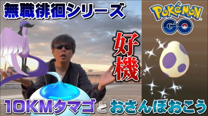 無職が徘徊して色違い！？おさんぽおこうと10KMタマゴ10連で驚きの結果に！無職徘徊シリーズ【ポケモンGO】