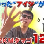 あれ！？意外に出やすい！？色違いコマタナ新実装！12KMタマゴはアツい！？12連確率調査！【ポケモンGO】