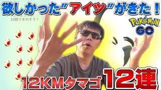 あれ！？意外に出やすい！？色違いコマタナ新実装！12KMタマゴはアツい！？12連確率調査！【ポケモンGO】