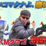 12KMタマゴ36連！色違いコマタナが欲しいのよ…！えっ？ヤトウモリメスも【ポケモンGO】