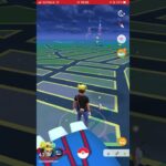 ポケモンGO 小さいポケモンが走り回る