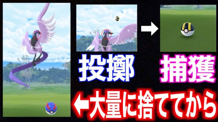 ガラル三鳥捕獲前にボール大量に捨てれば確実に捕獲出来る説【ポケモンGO】