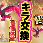 史上初！？キラのガラルファイヤー爆誕！！高個体値ガラル三鳥！【ポケモンGO】