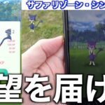 朝から色違いチョロネコ狙い！シンガポールでチョロチョロした結果【ポケモンGO】