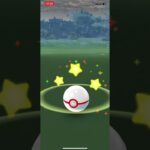 シャドウ　コラッタ　ゲット　ポケモンGO