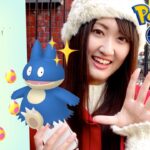 ゴンベ色違い調査とアクジキングの双子遭遇!?【ポケモンGO】