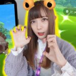 ヒメグマのコミュニティディ！だけじゃない！ガチグマも新実装！【ポケモンGO】