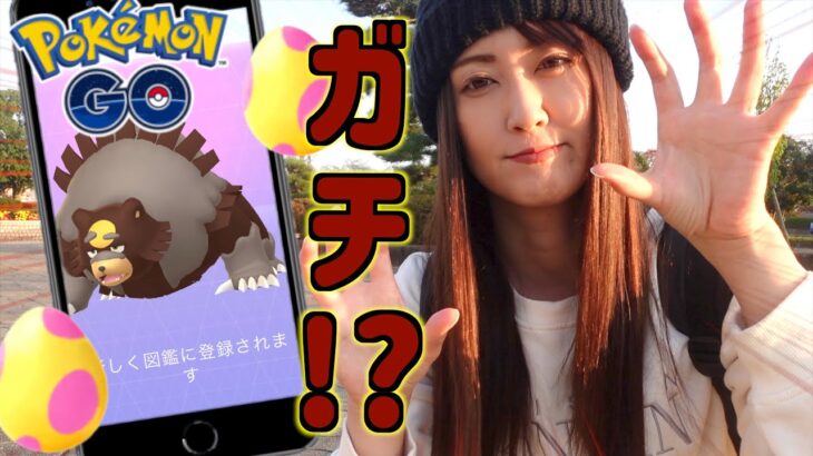 この結果…ガチ!? ヒメグマコミュデイ!!【ポケモンGO】