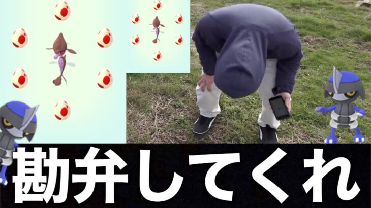 出るか色違いコマタナ！１２キロ卵１２連が地獄の入り口過ぎました…【ポケモンGO】