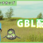 【ポケモンGO】キャッチカップ/1-2【GOバトルリーグ】【GBL】