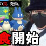 【ポケモンGO】ん？ボーナスが発動しない！？「色違えゴンベ編」開幕！くいしんぼうイベントでウィジェットに翻弄されながらも気愛の10タマ＆7タマクイックブラインドゥ！【105回目の挑戦】