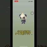 【ポケモンGO】12kmタマゴから久しぶりにあのポケモンの100%個体が爆誕？！#ポケモンgo #shorts ＃勇気100%