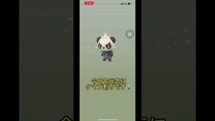 【ポケモンGO】12kmタマゴから久しぶりにあのポケモンの100%個体が爆誕？！#ポケモンgo #shorts ＃勇気100%