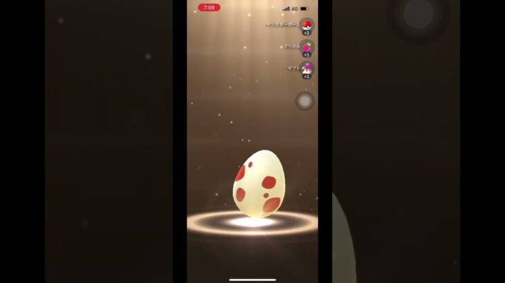 【ポケモンGO】12kmタマゴ3連🥚過去1の結果に悶絶w#ポケモンgo #shorts ＃PUFFY＃愛のしるし