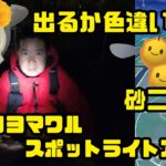 【ポケモンGO】再びスポライ初快挙！砂2倍、ミツハニー乱獲で砂ウハウハ！ヨマワルのスポットライトアワー