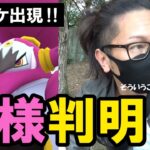 【ポケモンGO】タイマーの仕様判明！謎に包まれたエピックレイド（フーパ）の「タイマー」を暴け！色違いゴンベを狙う7タマ累計66連クイックスペシャル！【第2回エピックレイド】